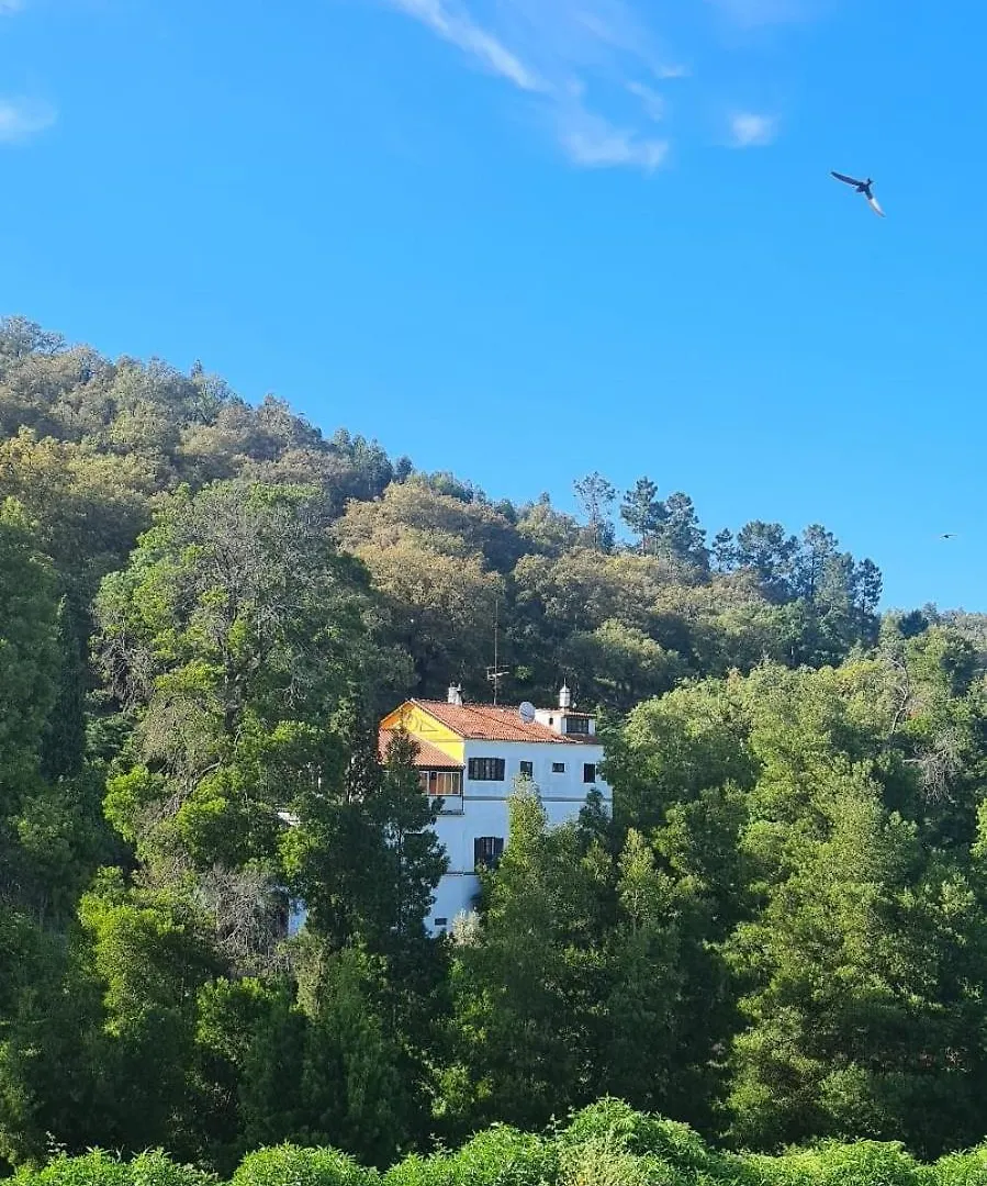 Villa Bica Boa à Monchique Lodge